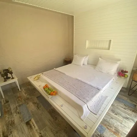 B&B Naz